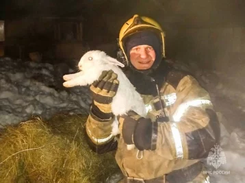 Фото: В Омской области пожарные спасли из огня восемь кроликов, один пострадал  1