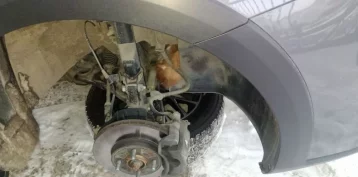 Фото: Кот застрял под капотом автомобиля в Новокузнецке 1