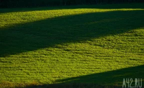 В Кемерове выставили на продажу пустырь за 120 млн рублей