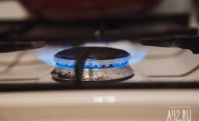 В России проверку газового оборудования в квартирах сделают обязательной