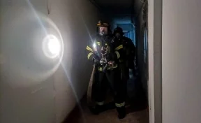 В Кемерове на пожаре спасли женщину