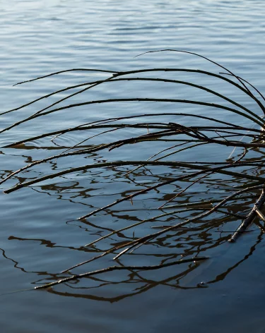 Число жертв наводнений и оползней в Индонезии увеличилось до 837 