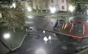 В Кузбассе ломающие новую детскую площадку вандалы попали на видео