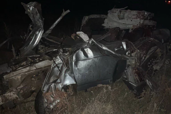 Взрослый и два подростка погибли в ДТП с лошадью в Башкирии