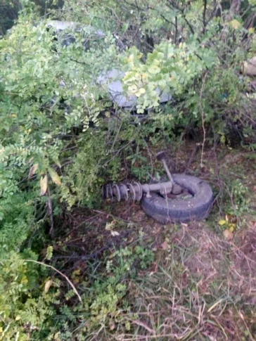 Фото: В Кузбассе автомобиль слетел с дороги и врезался в дерево 3