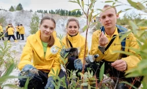 В Кузбассе прошёл экофорум «Зубочистка»