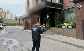 Девочка, выжившая после падения с 10-го этажа в Москве, умерла в больнице