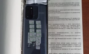 Мобильные телефоны и 13 сим-карт: в кузбасскую колонию попытались отправить запрещённые предметы