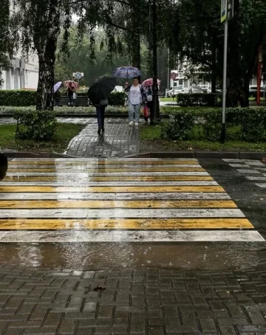 Фото: А42.RU