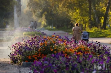 Фото: «Бабье лето» в Кузбассе: синоптики дали прогноз погоды на выходные 1