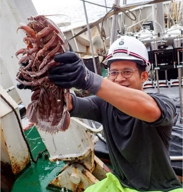 Фото: Биологи нашли на дне Индийского океана «кровавые креветки» и гигантского глубоководного таракана 1