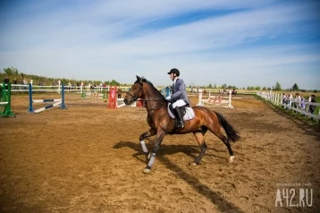 Фото: В Кузбассе состоятся всероссийские соревнования по конному спорту 1
