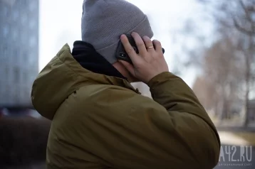 Фото: Кузбассовца отправили в колонию на 4 года за украденный у подростка телефон 1