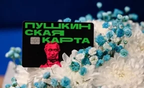 Семнадцатилетние стали самой многочисленной группой пользователей Пушкинской карты