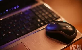 11-летний школьник случайно совершил самоубийство во время онлайн-урока