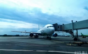 Самолёт Москва — Минск экстренно приземлился из-за ухудшения состояния ребёнка на борту 