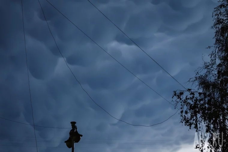 Фото: После бури: как Кемерово пережил шторм 53