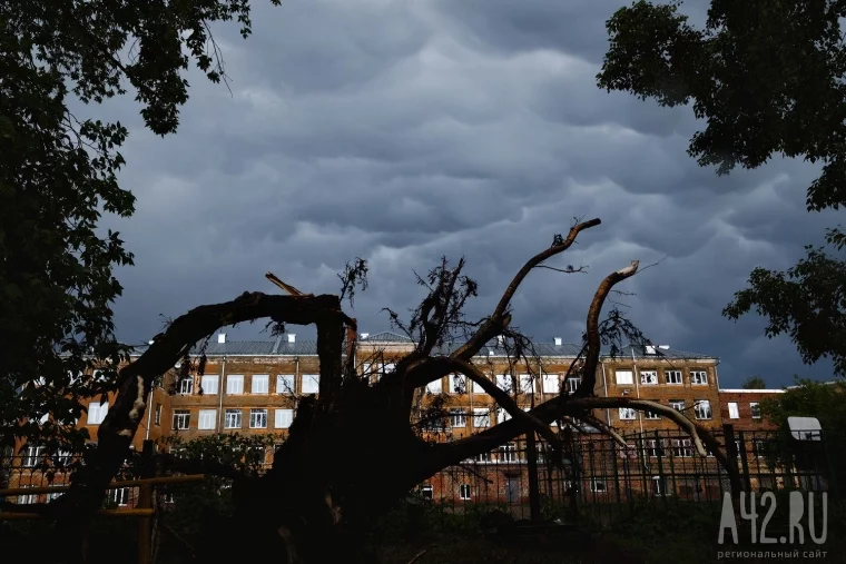Фото: После бури: как Кемерово пережил шторм 54