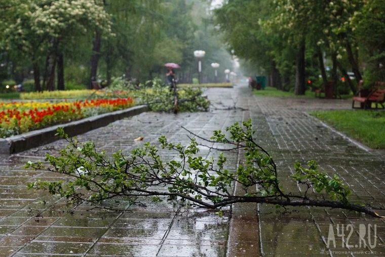 Фото: После бури: как Кемерово пережил шторм 55