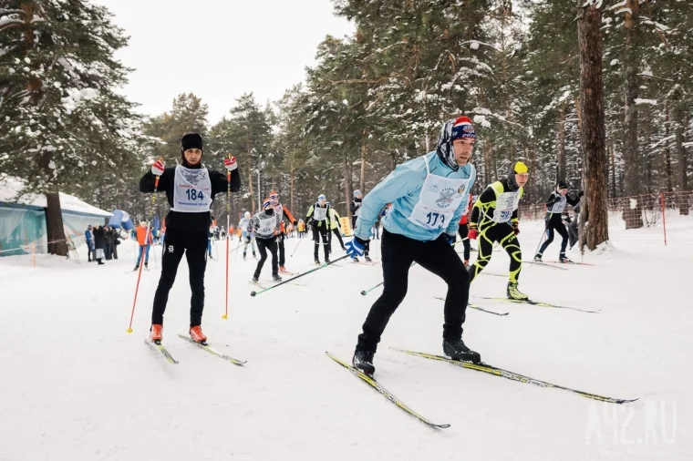 Фото: Каток, хаски и сноуборд: чем заняться в Кемерове на новогодних выходных в 2023 году 6