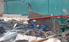 МЧС: В Рязанской области после взрыва на пороховом заводе погибли 14 человек