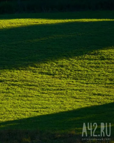 В Кемерове выставили на продажу пустырь за 120 млн рублей