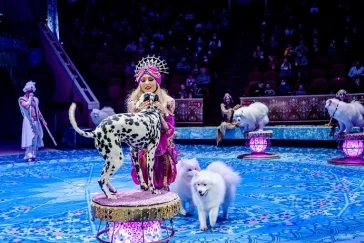 Фото: Новогодняя сказка на восточный лад: шоу «Песчаная Сказка» Гии Эрадзе в Кемерове 6