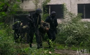 ФСБ: в Брянской области нейтрализовали диверсионную группу украинских спецслужб