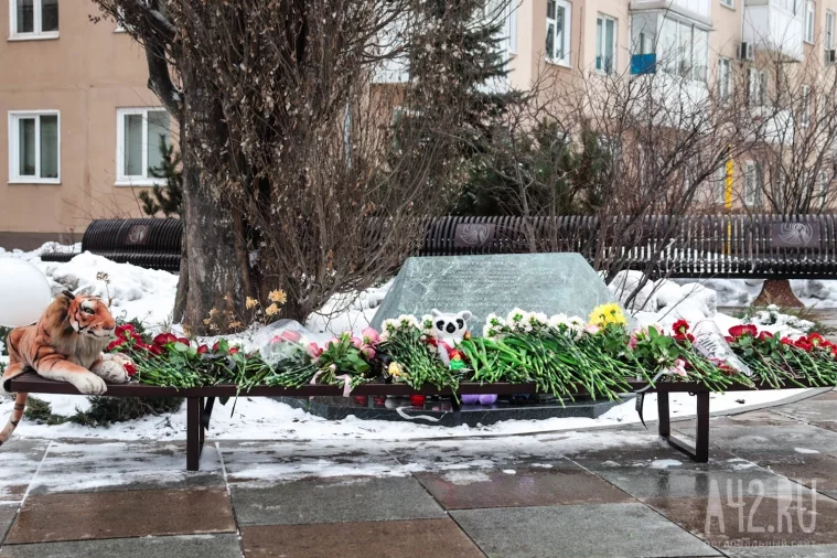 Фото: 7 лет после: кузбассовцы вспоминают трагедию в «Зимней вишне» 14
