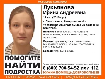 Фото: В Кузбассе пропала 14-летняя девочка, она не вернулась домой 1