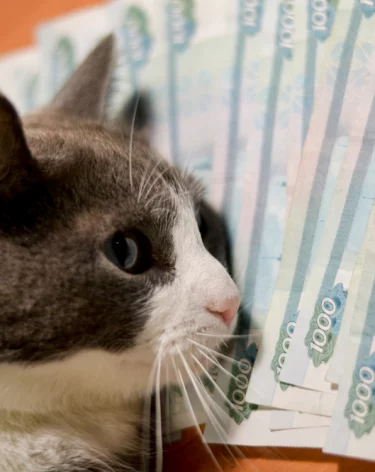 СТО заплатит кемеровчанке за сгоревший автомобиль: ремонт оценили дороже самой машины