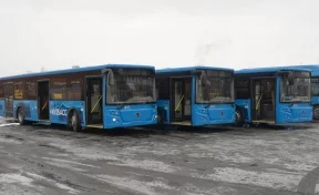 Поступила последняя партия: 112 новых автобусов закупили для Кузбасса