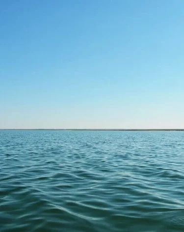 В Малайзии двухлетнего россиянина госпитализировали в тяжёлом состоянии после ожога кубомедузы