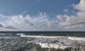 В Японии нашли останки российского моряка, пропавшего семь лет назад