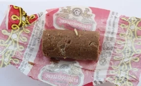 Личинки в начинке: почему в Кузбассе находят червей в конфетах