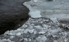 В Охотском море со льдины спасли более 60 рыбаков