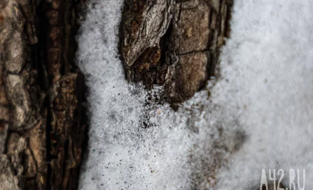 Весна на паузе: когда снег ещё держится