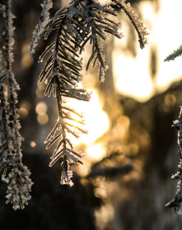 Синоптики предупредили о похолодании до -41 в Кузбассе