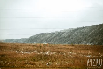 Фото: В Кузбассе рекультивируют более 2 тысяч Га земель, на которых добывали уголь 1