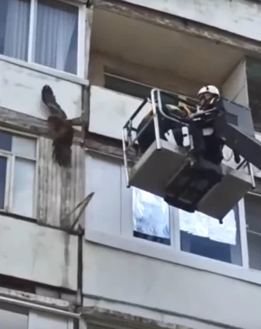 Фото, видео: <a href=https://vk.com/wall-198880403_1432>Кемеровская служба спасения</a> / «ВКонтакте»
