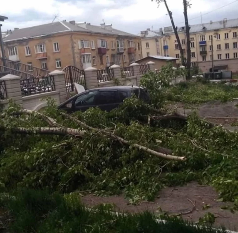 Фото: В Новокузнецке ураган повалил более 70 деревьев и повредил автомобили 2