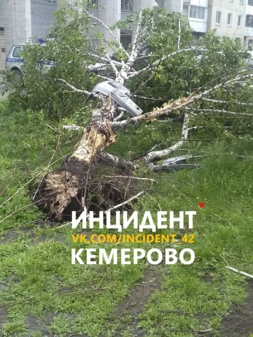 Фото: В Кемерове машина врезалась в дерево и перевернулась 4