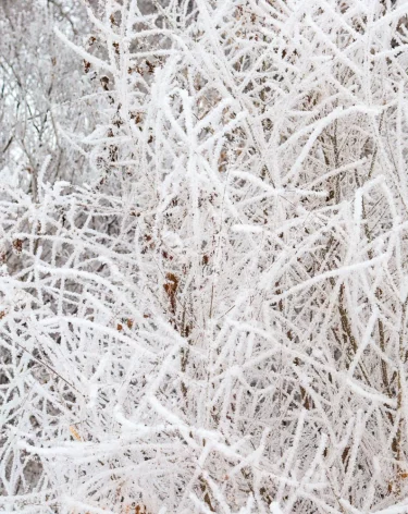 В ЯНАО спасатели ищут в тундре семью с четырьмя маленькими детьми