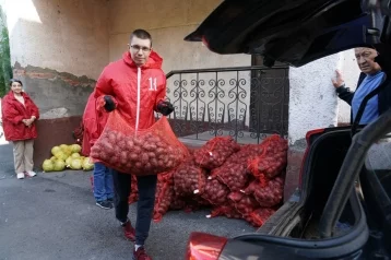 Фото: В Кузбассе 10 тысяч человек получили по 80 килограммов бесплатных овощей 1