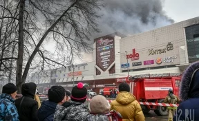 Цивилёв о пожаре в «Зимней вишне»: «Родственникам будем помогать очень долго»