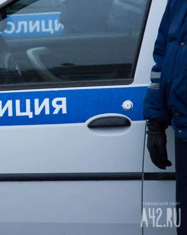В Челябинске отправили в СИЗО подозреваемую в поджоге полицейского автомобиля