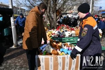 Фото: С погибшей на пожаре в «Зимней Вишне» не было учеников гимназии №17 1