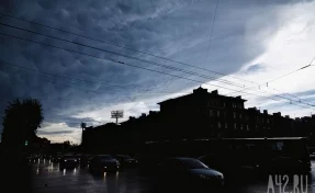 Дожди, грозы и туманы ожидаются в Кузбассе в понедельник, 14 августа