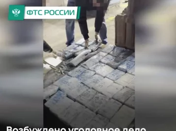 Фото: В порту Санкт-Петербурга обнаружили партию кокаина на 500 млн рублей под видом бананов 1