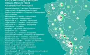 Опубликована карта распространения коронавируса в Кузбассе на 10 июня